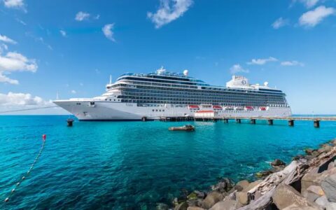 邮轮行业复苏路上的隐忧：Carnival与Royal Caribbean的投资抉择