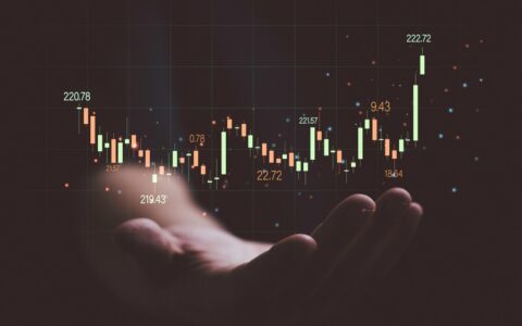 2024年11月6日：美股内部交易及重大持股变更汇总