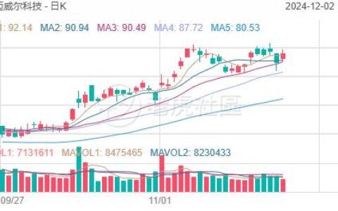 接替英伟达?12月3日财报后,这家AI芯片股可能飙升