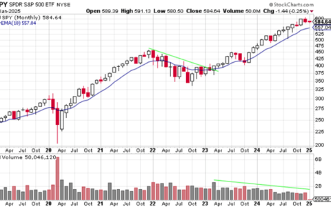Walter Zelezniak Jr：2025年我对标准普尔 500 指数的看法