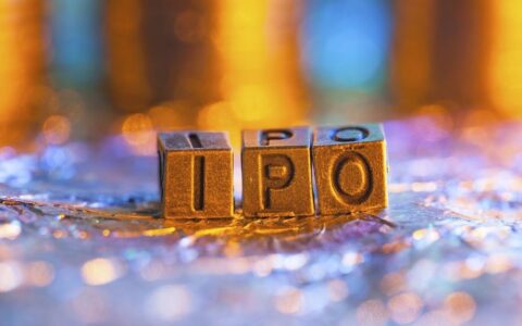 生物科技泡沫破灭：2024 年生物科技 IPO 平均回报率为 -52%