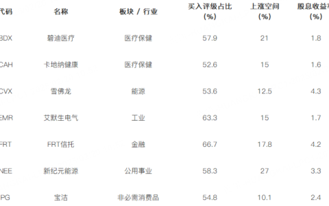 2025 年市场或迎波动，股息股票成投资稳定器？