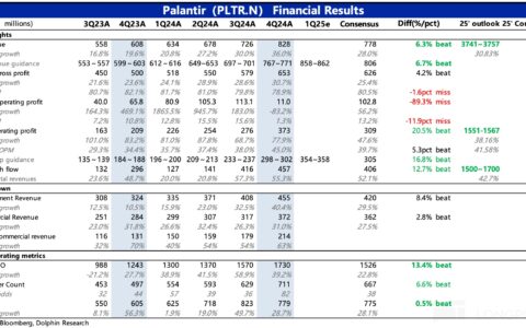 Palantir财报：Palantir 希望成为这场 AI 革命的基石公司