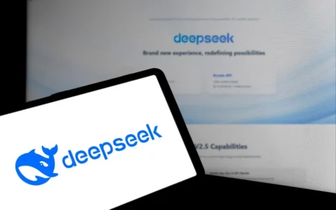 DeepSeek冲击下的AI芯片市场:AMD低估值优势与Nvidia市值疑虑的对比分析