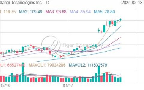 Palantir (PLTR) 股价飙升，分析师目标价难追，卖出虚值看跌期权或成优选策略