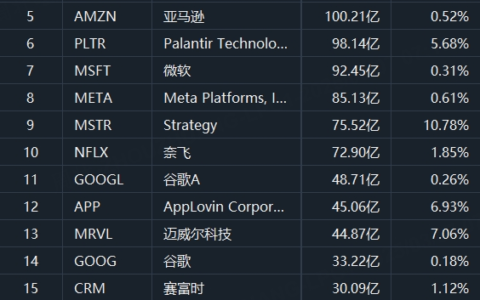 美股成交额TOP 20｜科技巨头普跌，英伟达、特斯拉大跌逾5%；迈威尔科技重挫近20%，业绩指引令人失望