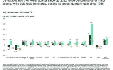 关税阴云笼罩下的AI亮点：五大AI与科技成长股逆势突围