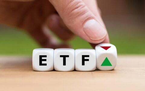低估中的高潜力：这两只Vanguard ETF或将成2025年投资组合新宠