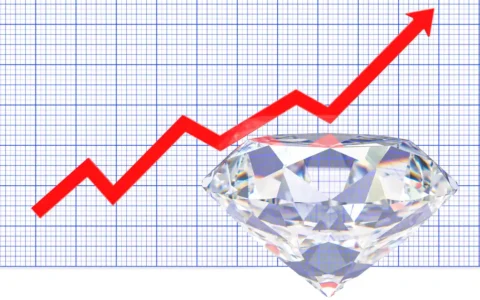 从电商先锋到基因药巨头：为何现在是买入Shopify与Vertex的大好时机？