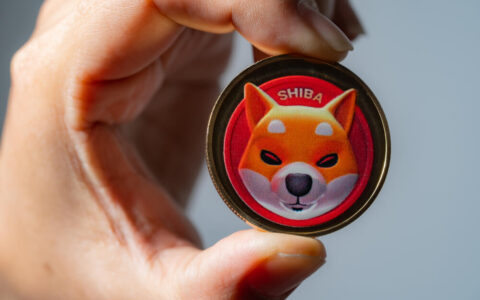 市值66亿美元的网红币：Shiba Inu柴犬币还有翻身机会吗？