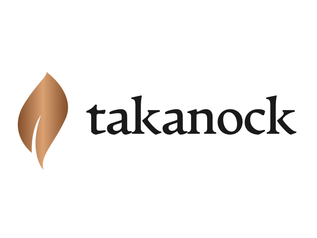 Takanock斩获5亿美元融资，携手ArcLight与DigitalBridge推动数据中心电力革命