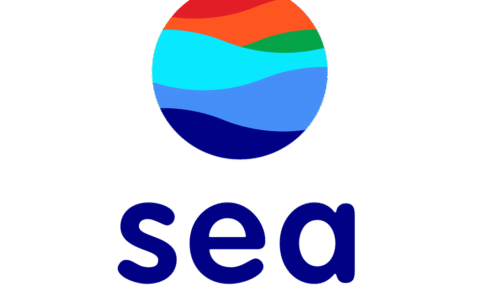 Sea Limited股价一年飙升130%，东南亚电商与金融巨头的增长引擎重启