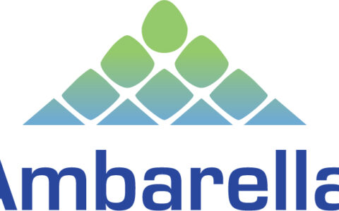 Nvidia稳居AI芯片王者，Ambarella小而美的增长故事引关注