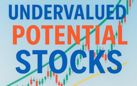 三只被错杀的成长股：UiPath、Remitly与Meta的长期投资逻辑解析